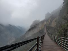 -武陵山森林公园