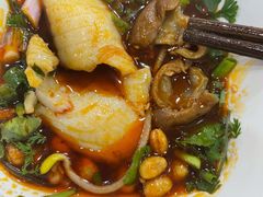 特色肥肠-烧哥美蛙肥肠鱼火锅·十五年社区店