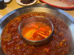 -田鸭肠·非遗火锅(彭州店)