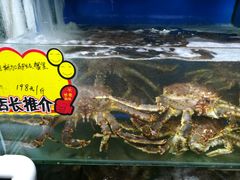 -蚝专家(北滘店)