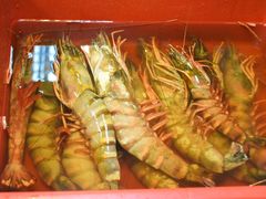 -ZF Seafood Restaurant 卓峰海鲜餐