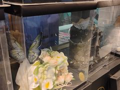 -西檬树SIMON·T轻奢蛋糕(大东方Max店)