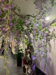 -盘子女人坊生日照·摄影馆(华强店)