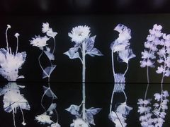 -时代美术馆-成都馆