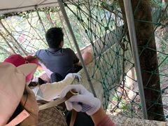 -九龙江国家森林公园