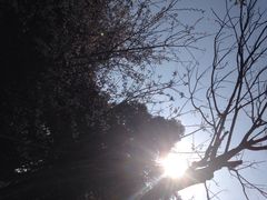 iphone_upload_pic-三锐体育游泳中心
