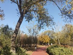 -绿堤公园