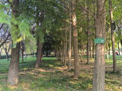 -洛阳市隋唐城遗址植物园