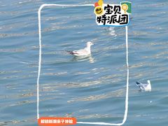 -青岛海滨风景区