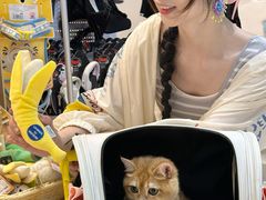 -帕帕拉兹宠物(亚洲旗舰店)