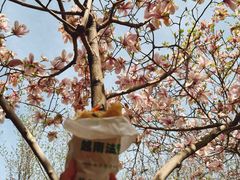 -大连植物园