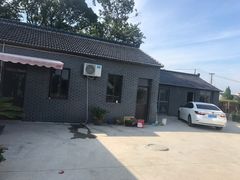 -南汇新场正宗水蜜桃采摘