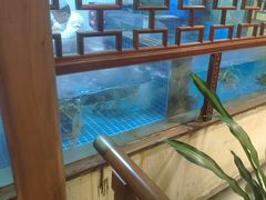 -庄隐阁(悠方广场店)