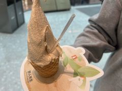 -野人先生现做冰淇淋(贵阳万象汇店)