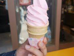 -麦当劳(新王府井店)