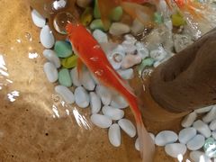 -德庄火锅(矿大三胞店)