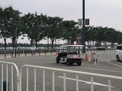 -迪士尼乐园停车场