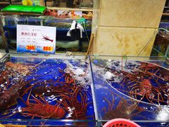 水产区-东江海鲜酒家(艺都分店)