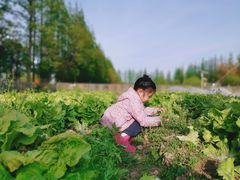 -前小桔亲子创意农场·草莓采摘·露营烧烤