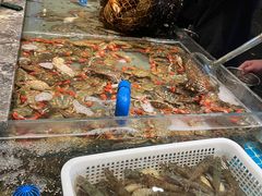 -一方渔歌蒸汽海鲜自助(文化路万达广场店)