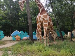 -南戴河国际娱乐中心