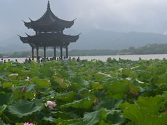 -西湖游船