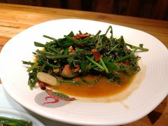 豆豉炒蕨菜-老滇山寨•云南特色菜•地方菜•民族风情歌舞表演(金碧店)