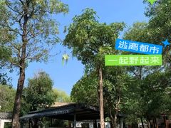 -南丹山森林王国