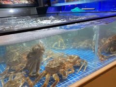 -日进一片海.生腌海鲜火锅.宵夜烧烤(三里屯总店)