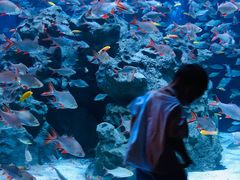 -成都浩海立方海洋公园