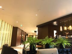 -林肯会俱乐部