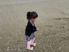 -大鹿岛