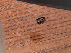 -梅花境(万科店)