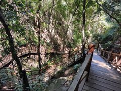 -大岭沟猕猴桃谷风景区