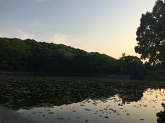 -普陀山慧济禅寺