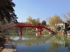 -扬州大运河文化旅游度假区·盆景园