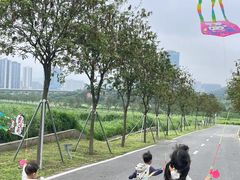 -光明小镇欢乐田园