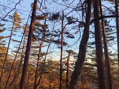 -新安江山水画廊风景区