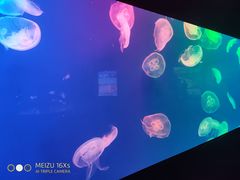 -成都浩海立方海洋公园