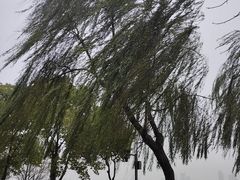 -武昌江滩