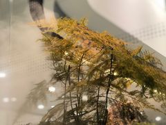 -赠李白·如诗的川味(余杭万达广场店)