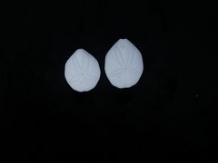 -贝壳王国博物馆