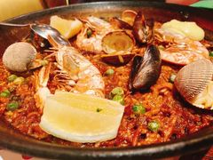 -TOMATITO(无限极荟店)