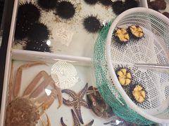-桃源市场(解放路店)
