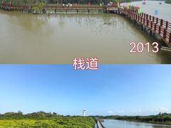 -东寨港红树林旅游区