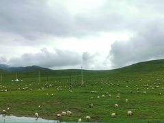 -青海湖国家重点风景名胜区