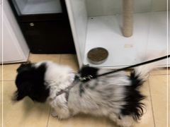 -沐沐家宠物(成寿寺店)