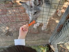 -武汉紫薇都市田园