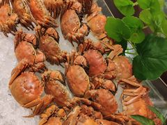 -圣丰索菲特·2 On 988 Café 自助餐厅