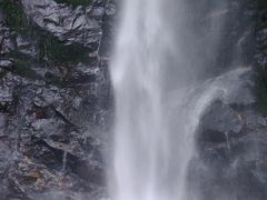 -莫里热带雨林景区